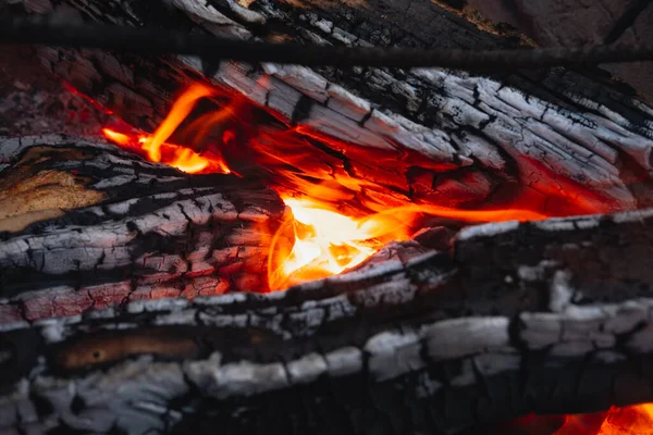 Close-up view of firewood burning. Wood burns in flames, detailed shot, ashes, coal
