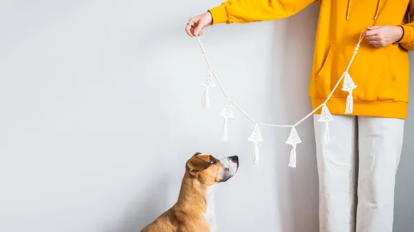 Decoración Año Nuevo Ganchillo Hecho Mano Manos Mujer Con Perro — Foto de Stock