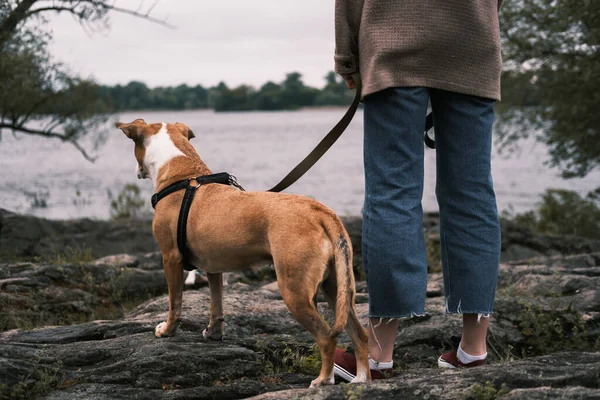 Mulher Seu Cão Ficam Lado Uns Dos Outros Nas Rochas — Fotografia de Stock