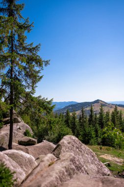 Berrak Mavi Gök Altında Çam Ağaçları ve Rocky Yamacıyla Dağ Manzarası