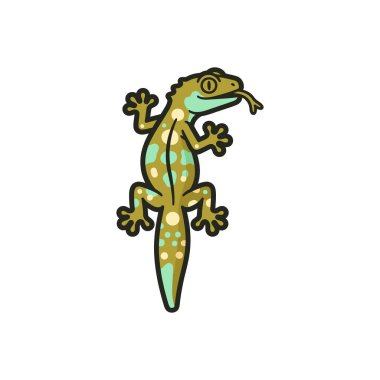 Canlı renkli kertenkele, tırmanışın ortasında parlak işaretler sergiliyor.