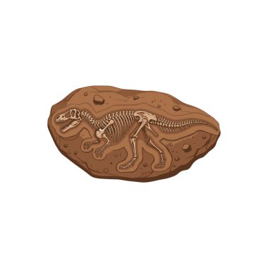 Bir kaya yüzeyine gömülü bir dinozor fosiline yakından bakın.