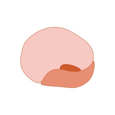 Daha koyu turuncu aksanlı, sade beyaz arka planda izole edilmiş tek bir pembe fasulyenin basit bir grafik çizimi..