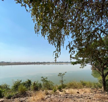 Ormandaki gölün güzel manzarası