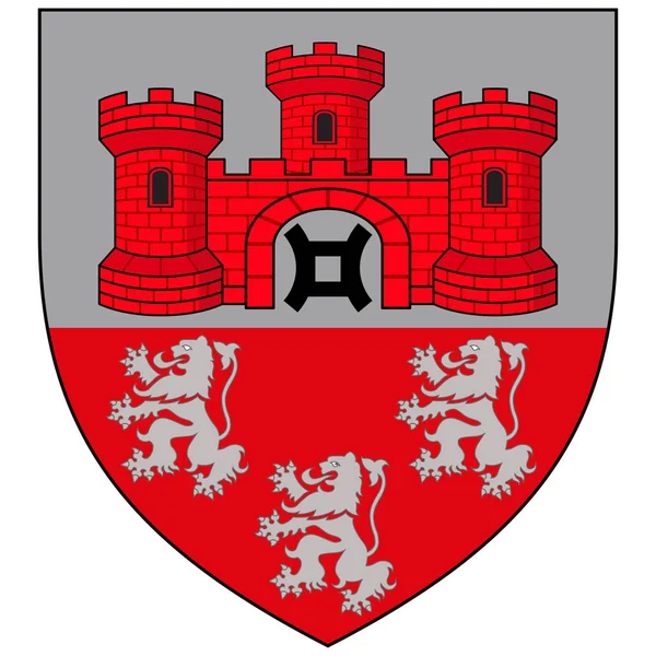 Steinsel的纹章是卢森堡中部的一个乡镇和城镇 矢量说明 — 图库矢量图片
