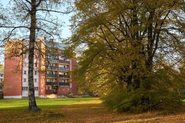 Apartment House Among Autumn Trees in a Peaceful Town