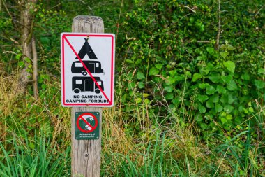 In a quiet forest a wooden post holds clear signs that ban tents campers trailers and related setups, a lower sign warns against dumping trash, the path is soft with needles and the light is calm