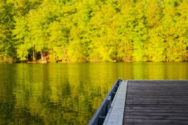 Yıpranmış ahşap bir iskele durgun yeşil suyun üzerinde duruyor, parlak güneş kalasları ısıtıyor, açık gökyüzü manzarayı genişletiyor, manzara sakin ve ferah bir gölün köşesinde