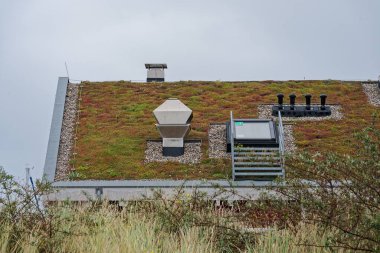 Karışık sedum bitkilerine sahip yeşil bir çatı, geometrik havalandırma kulesi ve çakıllı modern bir erişim kapağına sahiptir. Çevre mimarisi sürdürülebilirliği ve kentsel doğa temaları için mükemmel.