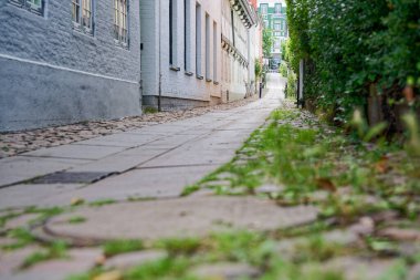 Eski binalar ve kaldırım taşlarıyla kaplı dar bir ara sokak. Flensburg 'daki yaz yeşillikleriyle yumuşatılmış. Seyahat temaları, şehir havası, şehir sakinliği ve yaşam tarzı görselleri için ideal.