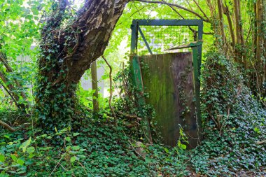 Bir çift ağır metal ve ahşap servis kapısı etraflarında görünür bir bina olmadan ormanda tek başına duruyor. Sarmaşık çerçevenin üzerinde sürünüyor ve sanki gizli bir alanı koruyor gibi kalabalık toplanıyor..