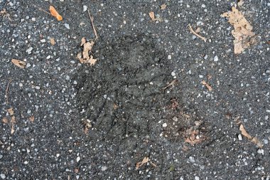 Toprağın başka bir kesiminde geniş dairesel izler var. Bu da geçen bir tekerlekle eşleşiyor. Derin kenarları çamurdan kesiliyor ve izler kayboluyor..