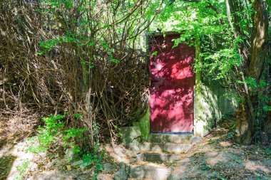 Yoğun orman bitkilerinin arasına gizlenmiş eski bir kırmızı kapı gizemli bir peri masalı havası yaratıyor. Fantezi temaları hikaye anlatma ve doğa kavramları için idealdir..