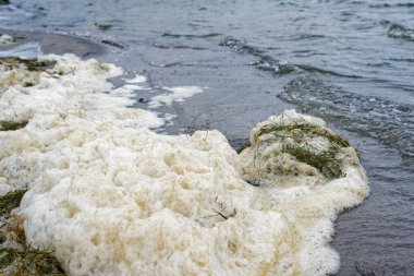Uzun bir köpük şeridi plajın karşısındaki yığınlar halinde uzanıyor, rüzgar köpüğe doğru esiyor ve dalgalar kıyıya daha çok itiyor böylece kıyı kıpır kıpır ve canlı görünüyor..