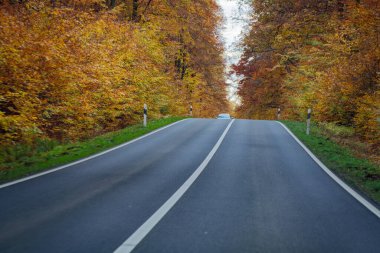 Dar iki şeritli yol, küçük bir tepenin üzerinden yavaşça geçer, bir araba yukarıya doğru ilerlerken, bir diğeri de, geçmeyi yasaklayan katı beyaz bir merkez çizgisi ile ayrılır..