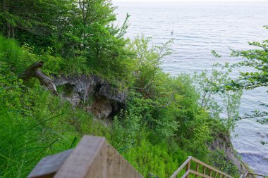 Ahşap merdivenler Mons Klint sahilinin yukarısındaki yemyeşil alanda inerek seyahat, yürüyüş ve açık hava şablonları için ideal sakin bir doğa manzarası yaratır.