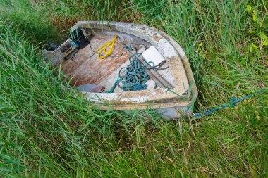 Yıpranmış küçük bir tekne, uzun otların içinde, boyası soyulmuş, halatları gevşemiş ve kürekleri gevşek bir şekilde duruyor. Bu da uzun zamandır dışarıda kullanılmadığını gösteriyor..