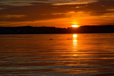 Güneş ufukta batarken üç ördek durgun suda süzülüyor. Sıcak ışık uzun bir yolda yansıyor ve yumuşak dalgalar Flensburg 'daki sakin akşam denizinde yayılıyor..