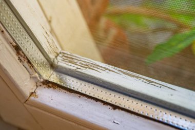 Çatlamış boya ve pas lekeleriyle eski pencere çerçevesi eskimiş durumları ve ahşap yüzeyde bakım eksikliğini vurguluyor..