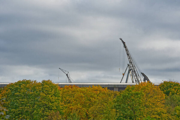 Yellow green treetops fill the frame while several construction cranes rise above them in Flensburg. The cranes silhouette against a gray overcast sky, hinting at nearby building work.
