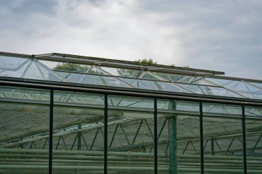 Camdan bir sera, metal çerçeve boyunca hava akımı için açılan çatı deliklerini gösteriyor. Şeffaf paneller sıcaklık ve nem düzenlemesi için tasarlanmış kontrollü bir ortam ortaya koyuyor..