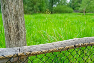 Halat ve siyah ağ ile kırsal ahşap bir çit, yemyeşil çimenli bir çayırın önünde duruyor. Ağaçlar arka planda, doğal gün ışığı altında..