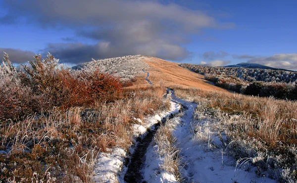 Güzel sonbahar manzarası dağlarda
