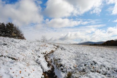 Güzel sonbahar dağ manzarası. Bieszczady