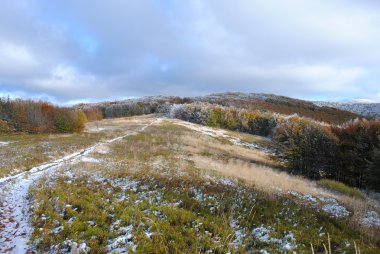 Güzel sonbahar dağ manzarası. Bieszczady