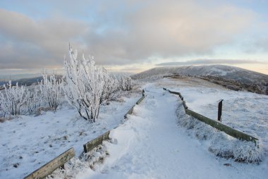 Güzel sonbahar dağ manzarası. Bieszczady