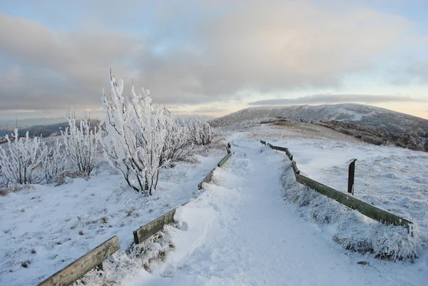 Hermoso paisaje de montaña otoño. Bieszczady — Foto de Stock