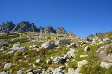 Hincova Vadisi. Yüksek Tatra Dağları. Slovakya.