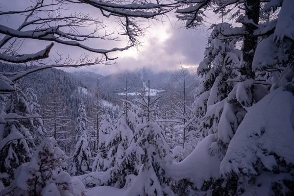 Paisaje Invernal Las Montañas Tatra — Foto de Stock