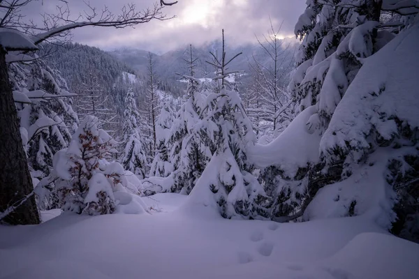 Paisaje Invernal Las Montañas Tatra — Foto de Stock