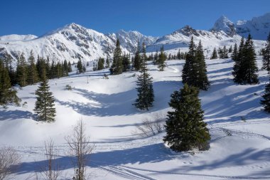 Tatra Dağlarının kış manzarası.