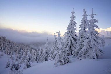 Tatra Dağlarının kış manzarası.