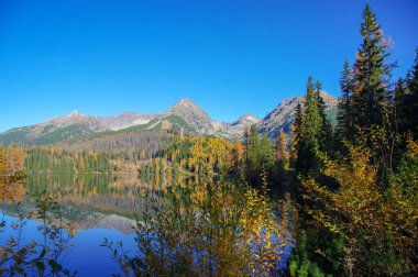 Strbske Pleso 'nun sonbahar manzarası. Slovakya. Tatra Dağları.
