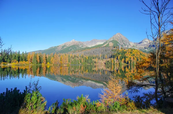 Strbske Pleso 'nun sonbahar manzarası. Slovakya. Tatra Dağları.