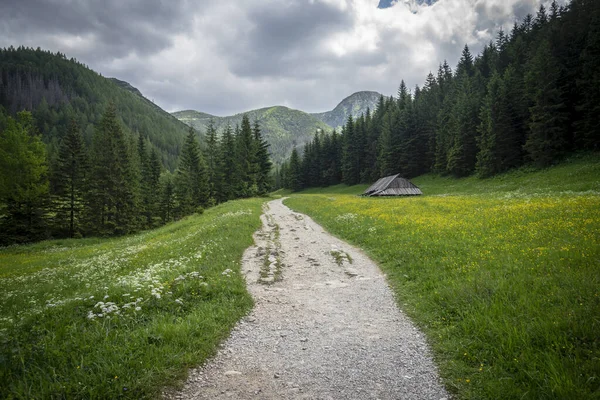 Valle Jaworzynka Montañas Tatra — Foto de Stock
