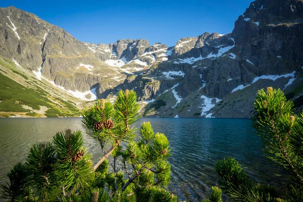 Lago Negro Gasienicowy Belo Lago Limpo Nas Montanhas Polonesas Tatra — Fotografia de Stock