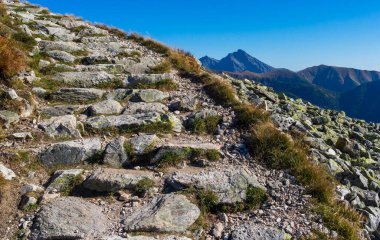 Krivan manzaralı Tatra Dağları 'ndaki Rocky dağ yolu..