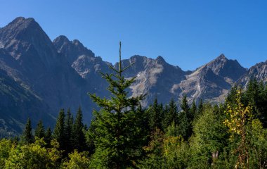 Eylül 'de High Tatras. Slovakya.