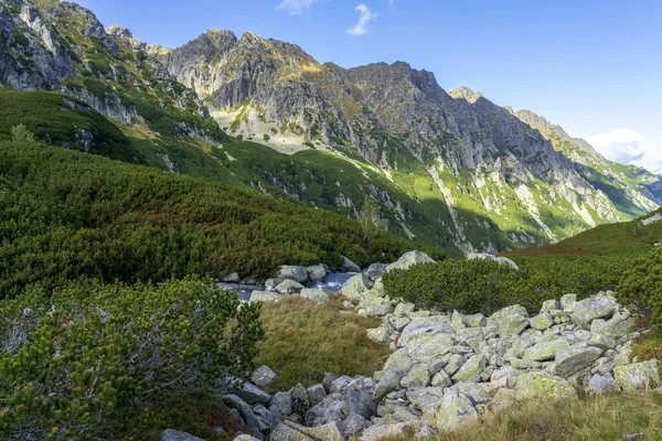 High Tatras 'taki Beş Polonya Gölünün Sonbahar manzarası.