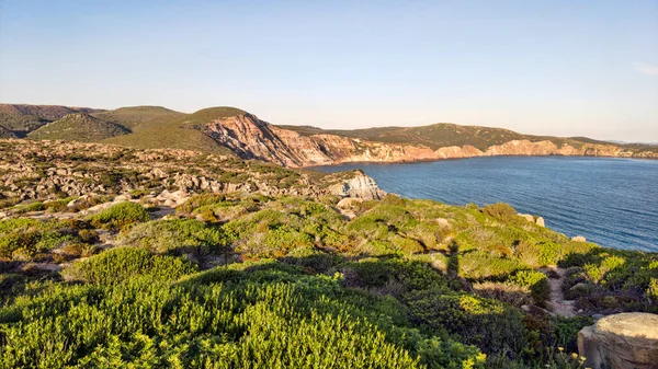 Uçurum Mavisi Deniz Yeşil Çalılıklarıyla Sardunya Sahillerindeki Gösterişli Vahşi Doğa — Stok fotoğraf