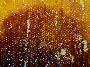 Altın nektarla doldurulmuş altıgen bal peteklerinden bir damla bal damlıyor. Bal peteği yaz kompozisyonu. Doğal bal damlası, balmumu çerçeveli arı damlası. Bal damlası bal damlatıyor bal peteğine.