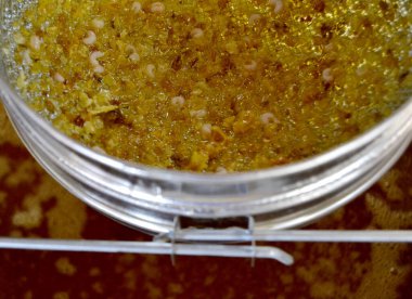 Altın nektarla doldurulmuş altıgen bal peteklerinden bir damla bal damlıyor. Bal peteği yaz kompozisyonu. Doğal bal damlası, balmumu çerçeveli arı damlası. Bal damlası bal damlatıyor bal peteğine.