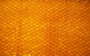 Altın nektarla doldurulmuş altıgen bal peteklerinden bir damla bal damlıyor. Bal peteği yaz kompozisyonu. Doğal bal damlası, balmumu çerçeveli arı damlası. Bal damlası bal damlatıyor bal peteğine.