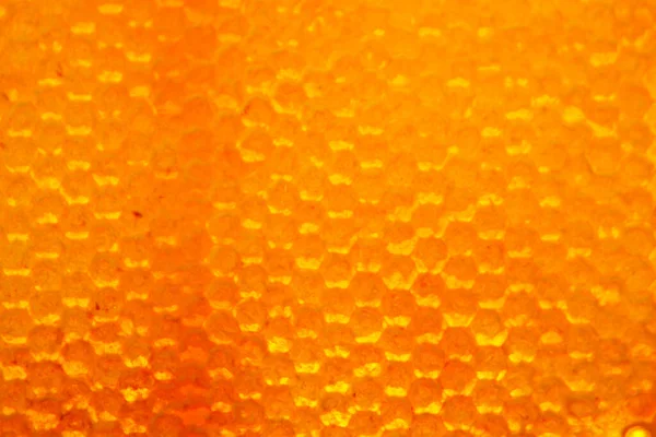 Drop Bee Honey Drip Hexagonal Honeycombs Filled Golden Nectar Honeycombs — Stock Photo, Image