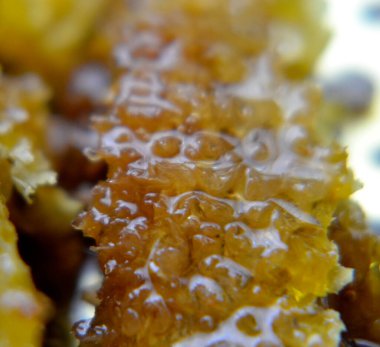 Altın nektarla doldurulmuş altıgen bal peteklerinden bir damla bal damlıyor. Bal peteği yaz kompozisyonu. Doğal bal damlası, balmumu çerçeveli arı damlası. Bal damlası bal damlatıyor bal peteğine.