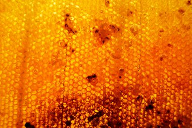 Altın nektarla doldurulmuş altıgen bal peteklerinden bir damla bal damlıyor. Bal peteği yaz kompozisyonu. Doğal bal damlası, balmumu çerçeveli arı damlası. Bal damlası bal damlatıyor bal peteğine.